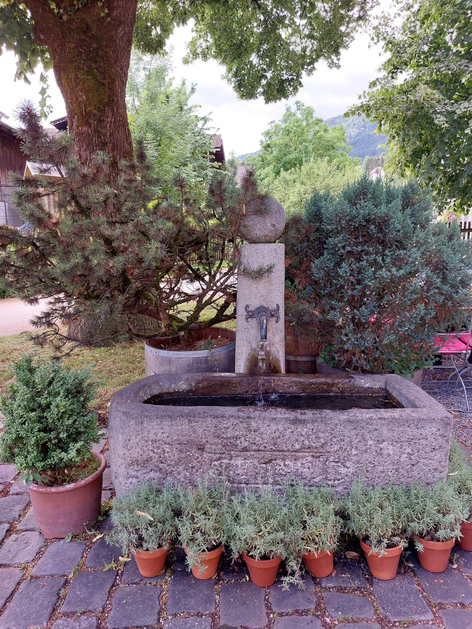 Brunnen Schloßwirt Trinkwasserbrunnen