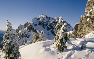 Untersagung des Sportbetriebes auf der öffentlichen Wintersportabfahrt Wendelstein-Ost während der Zeit der Gefährdung durch Lawinen und der Pistenpräparierung